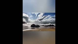 Sonic solace: Relax music from Shamrock Collective.