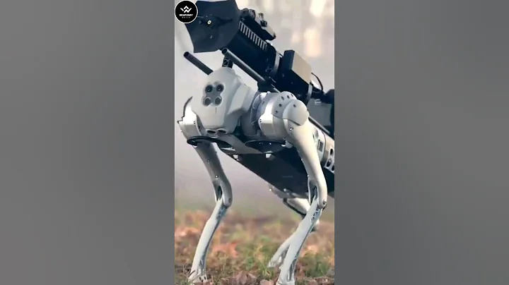 China's Robodog Army | Robot Dog