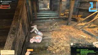 Vindictus - invisible me!