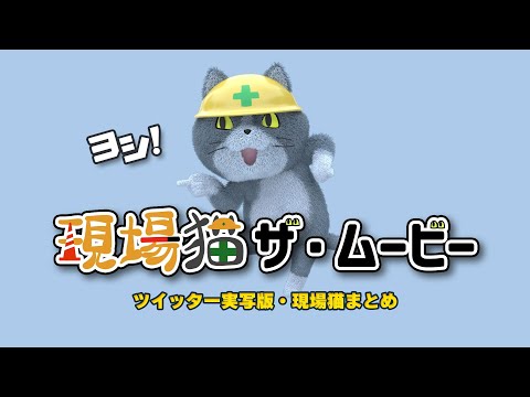 現場猫 Amazon.co.jp: 安全運転現場猫ステッカー (10cmサイズ) : 車＆バイク