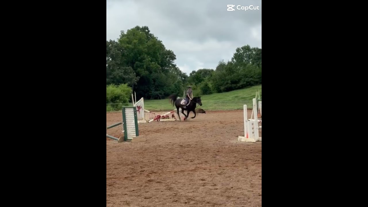 Ayyyyy He Was Awesome Todayyy 