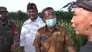 SAAT BERSIH2 TAMAN PERBATASAN | KANG DEDI TEMUKAN PASANGAN MUDA TERTIDUR BERPELUKAN