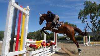 Nick Verlies Training Clinic | Ocean Harvest Technology Americas