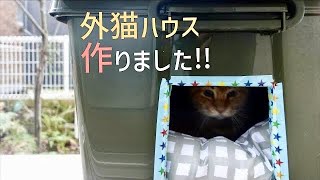 段ボールハウスを何度も作り直すのが大変なので、雨や寒さに負けない外猫ハウスを作ってみました