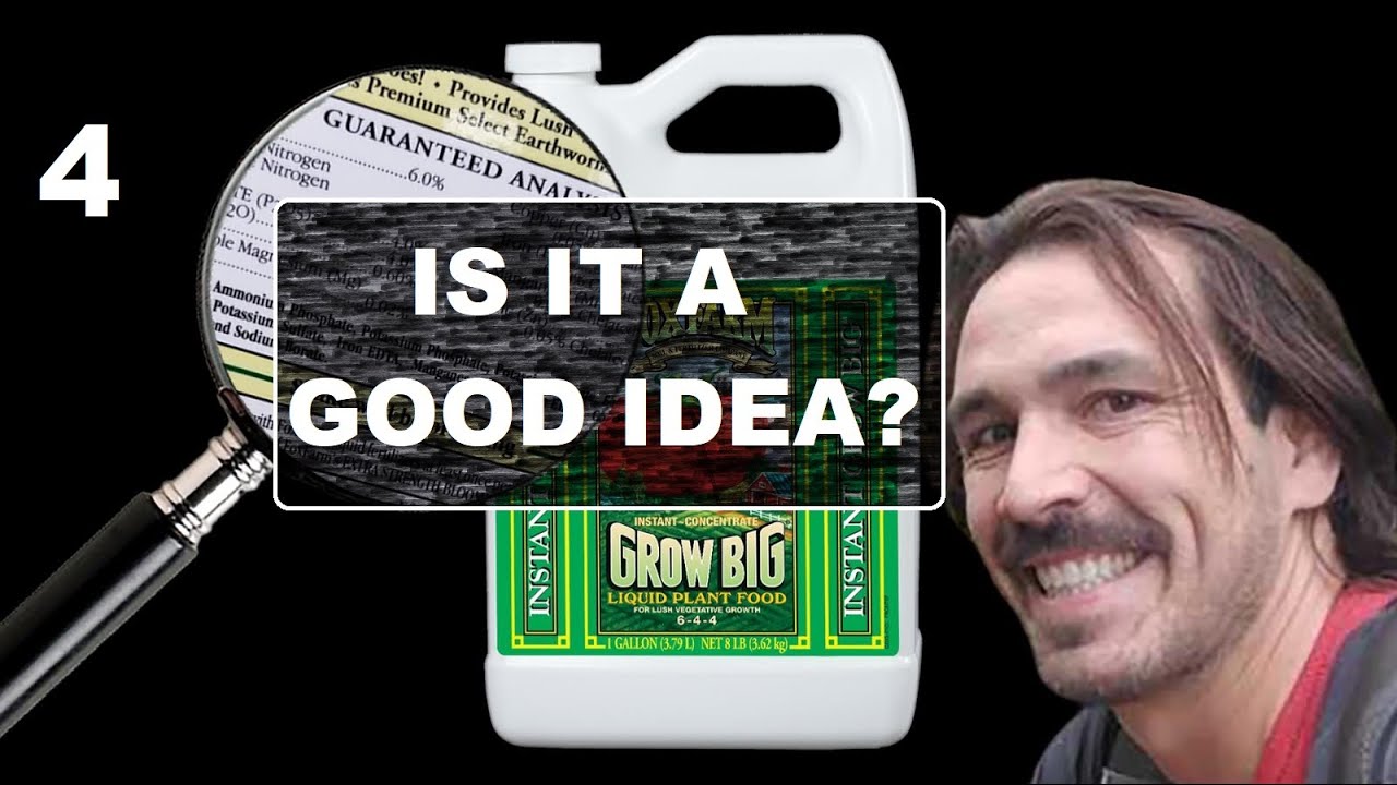 Grow Big & Seedlings "Is It A Good Idea?"  - (Part 4 of 6)