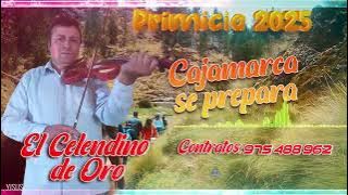 celendino de oro . Tema . Cajamarca se prepara Primicias 2025