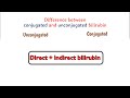 bilirubin-  conjugated and unconjugated bilirubin in hindi