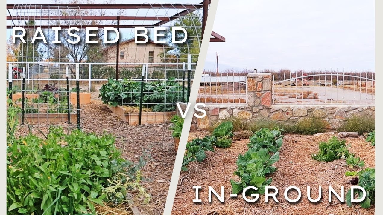NoTill Raised Garden Beds The BEST Method? YouTube