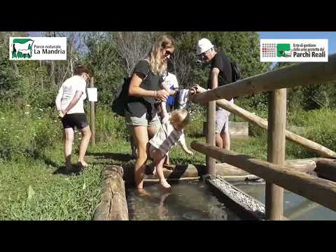 L’immersione sensoriale nella natura del Parco La Mandria -VIDEO-