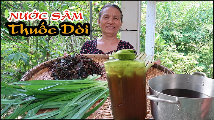Top 16 cây thuốc dòi nấu nước mát