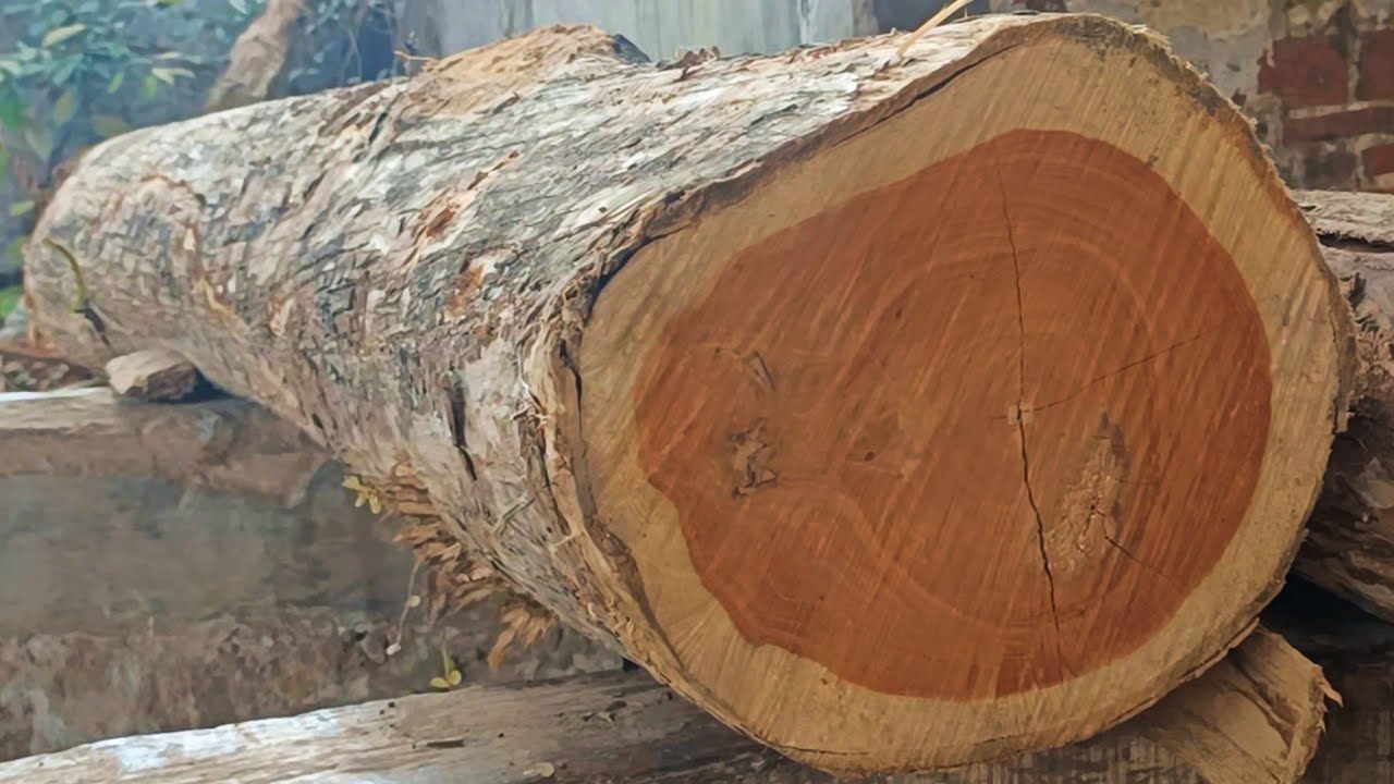 Cutting Teak Wood For Door And Window Frames At The Sawmill YouTube Cutting Teak Wood For Door And Window Frames At The Sawmill YouTube