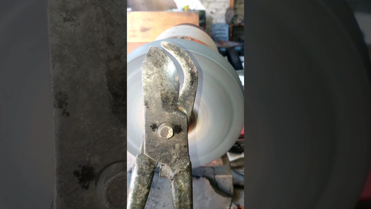 BIG PRUNING SHEARS SHARPE