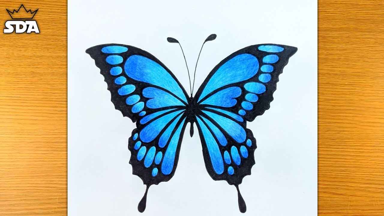 Share 140+ easy butterfly drawing with colour best