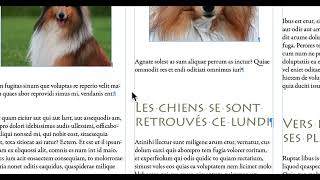 part 10 de la conférence ADOBE INDESIGN intro à la mise en page comme les professionnels , tuto