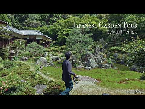寺院の庭/Temple Garden Zen garden, Daishin-in temple (2/5)
