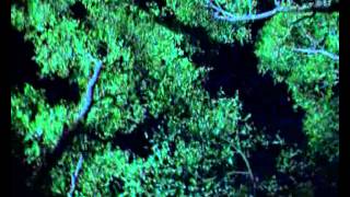 The Gathering - In Motion 2002 - Live at the Dynamo Open Air Festival, Holland - 1996