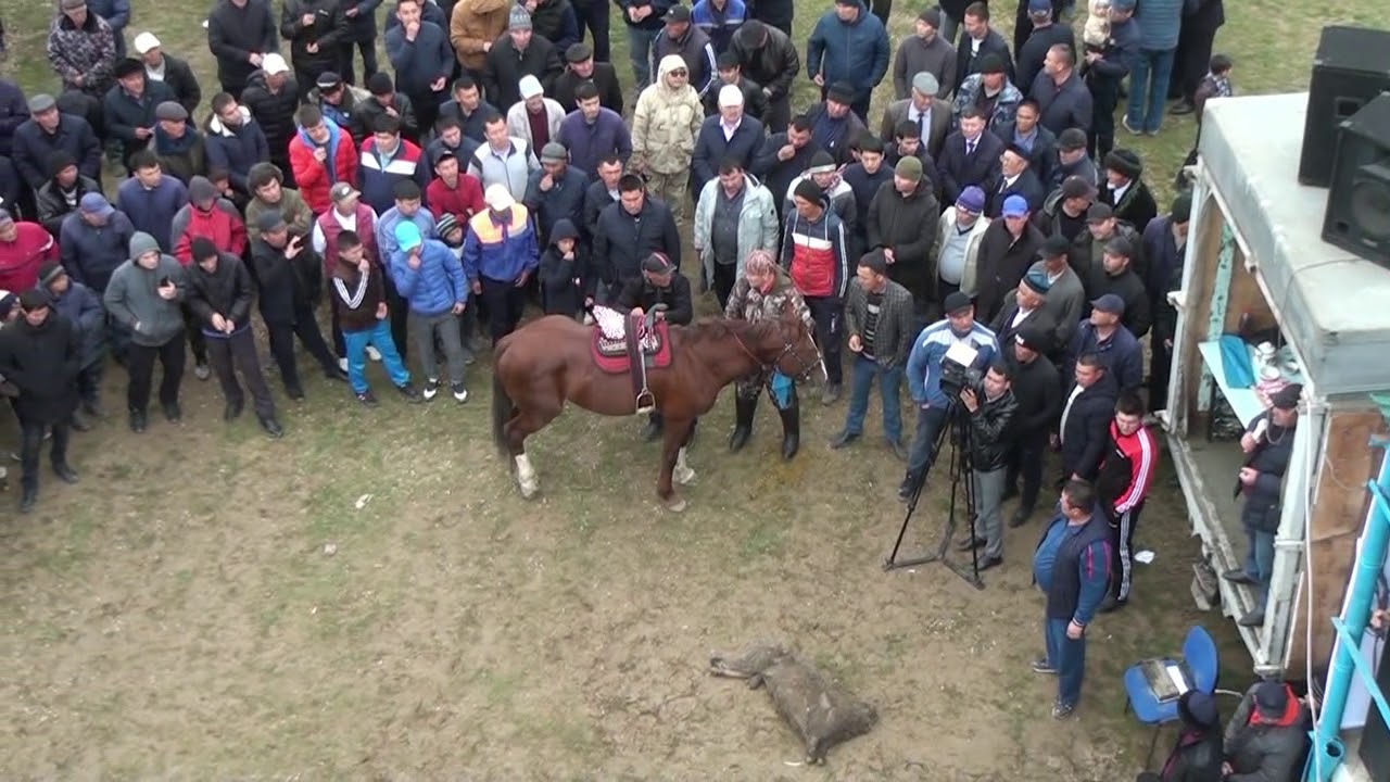 Көкпар Шардара 23.03.2019 ж. Зәкір ағамыздың көкпар тойы (1-бөлім)