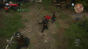 The Witcher 3: - Animation Glitch