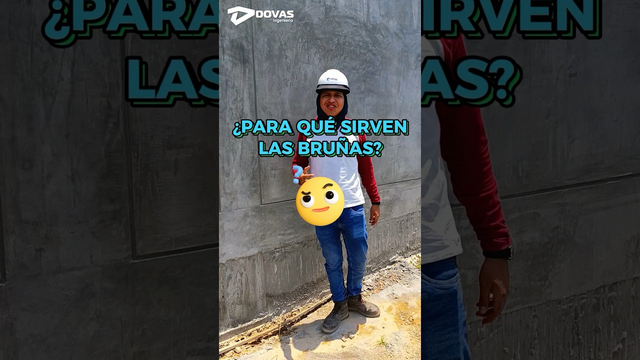 🤔 ¿PARA QUE SIRVEN LAS BRUÑAS?. 