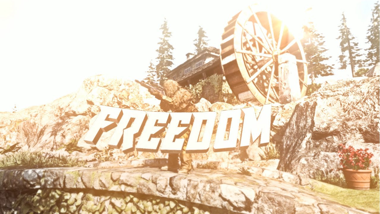 Freedom - Modern Warfare Montage 
