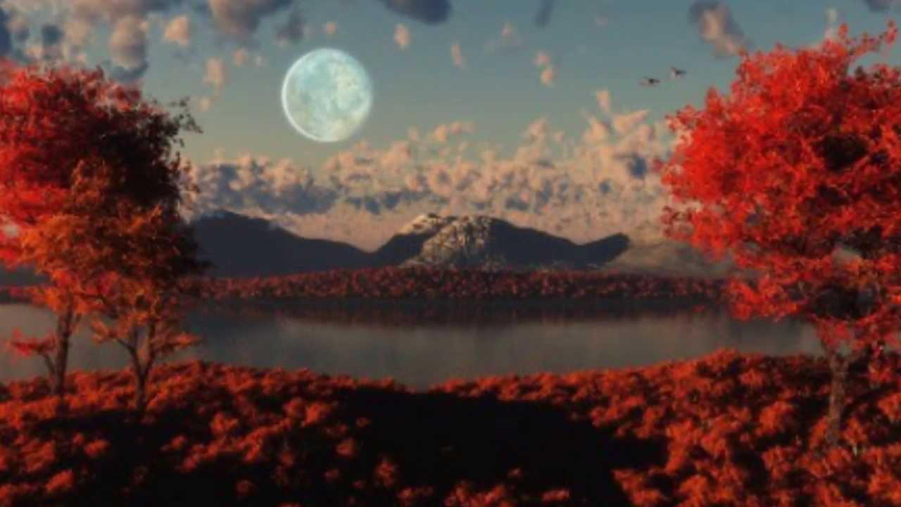 Alexx Antaeus -  Kyrie