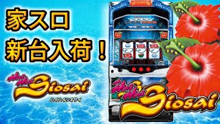 パチスロ6号機】ハイハイシオサイを2万で購入しました【ハナハナ