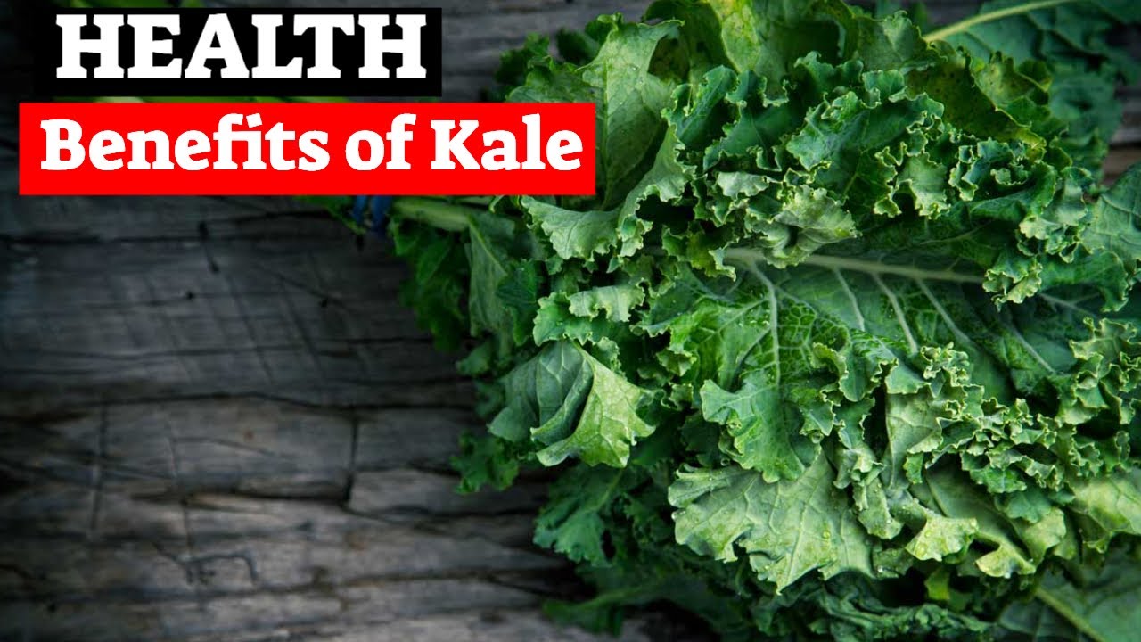 The Amazing Health Benefits of Kale Kale Recipes for a Healthy Diet YouTube