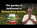 Surprising Results from a Devanahalli Farmer 49 Kg Flowers! |Earthworms Return to Soil After Dr.Soil