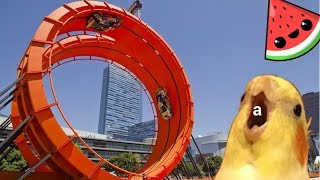 🍉 СМЕШНЫЕ ВИДЕО 🍉 FUNNY VIDEO 🍉 ЛУЧШИЕ ПРИКОЛЫ 🍉 BEST COUB JOKES 🍉 🍉 СМЕШНЫЕ ВИДЕО 🍉 FUNNY VIDEO 🍉 ЛУЧШИЕ ПРИКОЛЫ 🍉 BEST COUB JOKES 🍉