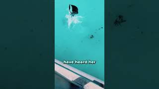They Didn't Expect The Stingray To Do This 😂😳