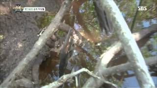 정글의법칙 2013-08-02 #37(3)
