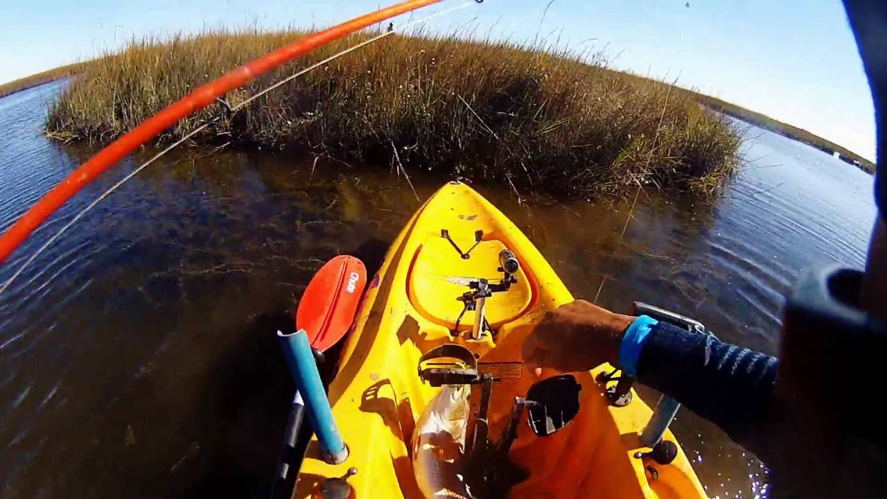 Shell Beach Redfish and Bass