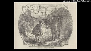Chapter 64 of Twain's "Roughing It" (Audio Recording)