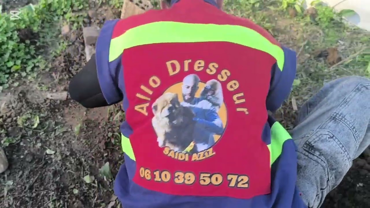 خدمة دفن الحيوانات التي تعيش في المنازل