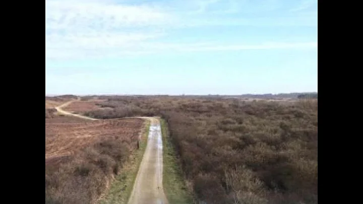 Diversity and Stability