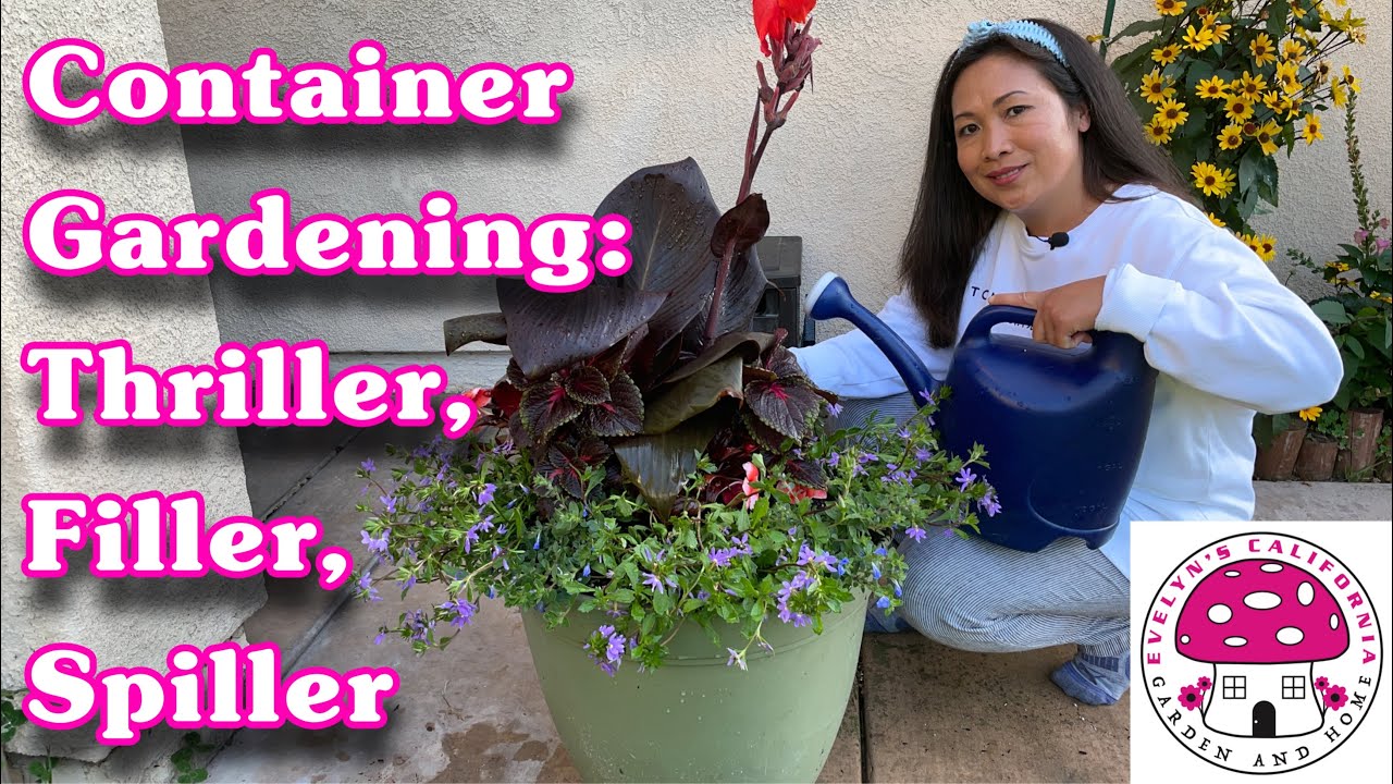 Container Gardening: Thriller, Filler, Spiller|#Zone10a Garden - YouTube