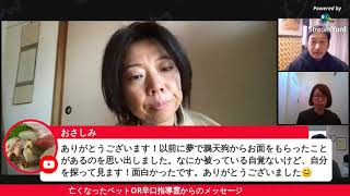 【実演】ミディアムシップ