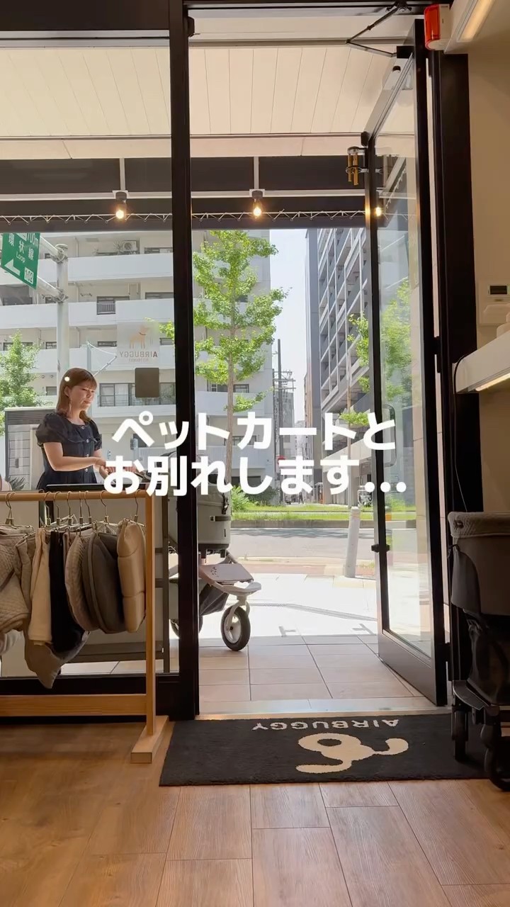 エアバギー】ペットカートからベビーカーに変わります【着せ替え出来る