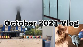 Going to the CN Tower for the First Time, Lots of Kitten Content, Demon Slayer- October 2021 Vlog