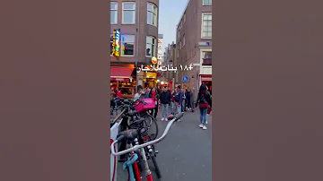 ١٨ بنات للاجار 