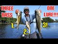 THIS ESCALATED QUICKLY!!! EPIC FISH CATCH - THREE BASS ON ONE CAST!!!