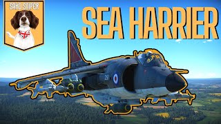 Should You Grind The Sea Harrier?