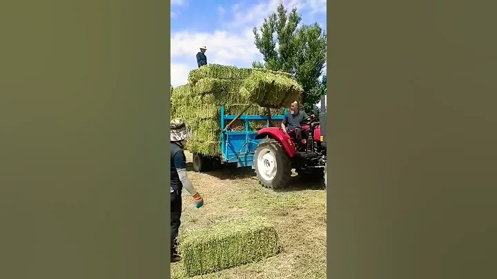 Agriculture tool, farming tool, farmers tools, takter tool, - DayDayNews