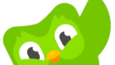 P.O.V. You delete Duolingo 😂😂😂