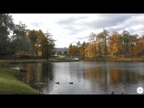 Video: Gatchina - hovedstaden i Leningrad-regionen