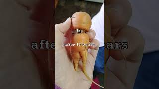 Lost Ring Found After 13 Years