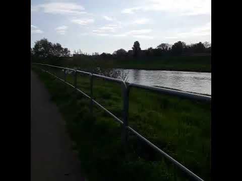 Річка Сян - YouTube