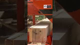 Sawing 10 2x4 At One Time From A Nice 10ft Poplar