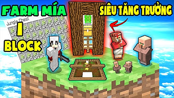 TÝ TIỀN TỈ - MÁY FARM MÍA SIÊU TĂNG TRƯỞNG - SINH TỒN TRÊN 1 BLOCK - Minecraft One Block # 6