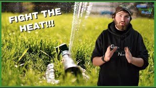 Stop Your Lawn From Dying This Summer With These Simple Water Tips!
